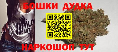 крисы Дубна